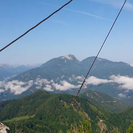 Gerti קלופיין אם קלופיינר זי