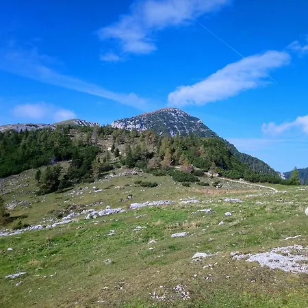Gerti Apartament *